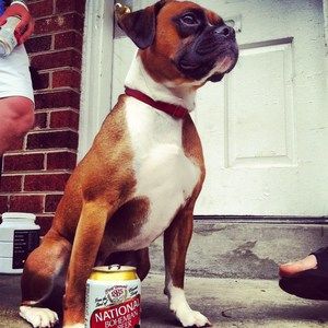 Meet your Posher, Robbie